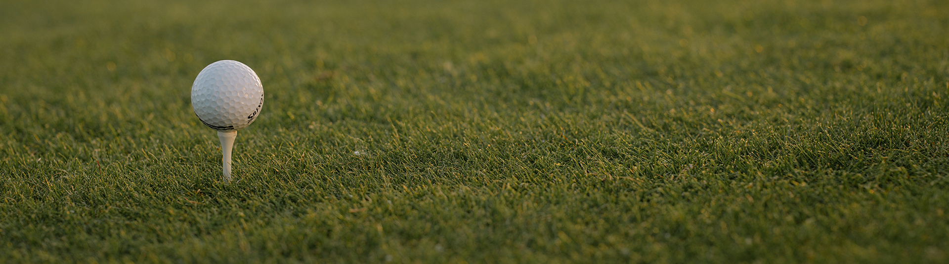 golf ball on tee